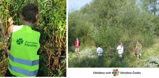 Mokřady u Rondelu, Havířov